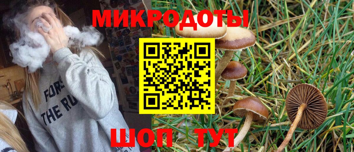 Кондопога  Псилоцибиновые грибы Magic Shrooms  Вход с VPN 